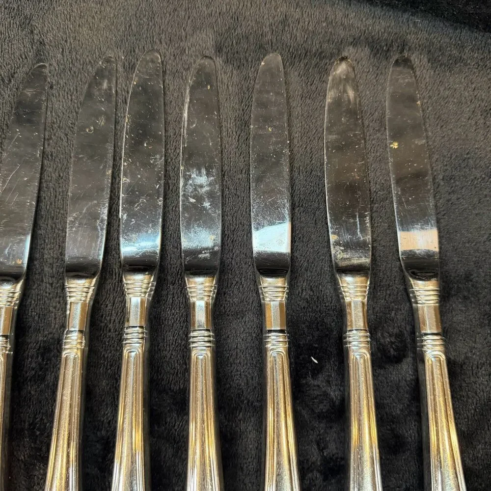 Pfaltzgraff Providence Stainless Flatware 14 Pieces 9 Knives 4 Forks 1 Spoon